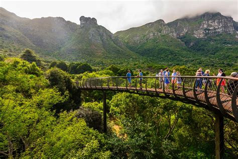 Botanischer Garten Kirstenbosch